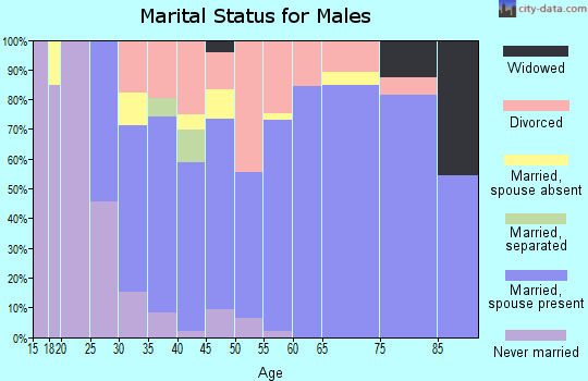 Zip code 35180 marital status for males