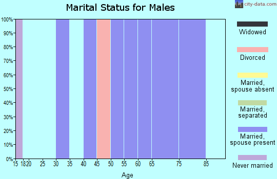 Zip code 35183 marital status for males