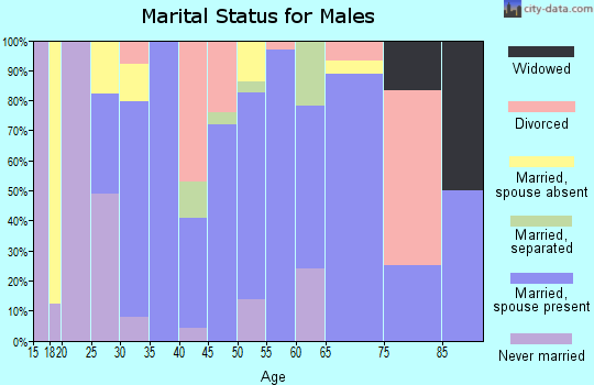 Zip code 35188 marital status for males