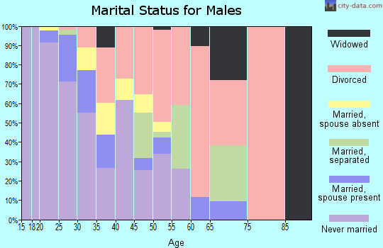 Zip code 35203 marital status for males