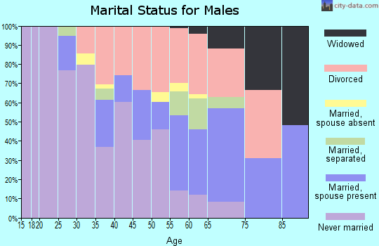 Zip code 35207 marital status for males