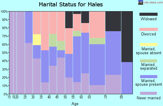 Zip code 35221 marital status for males