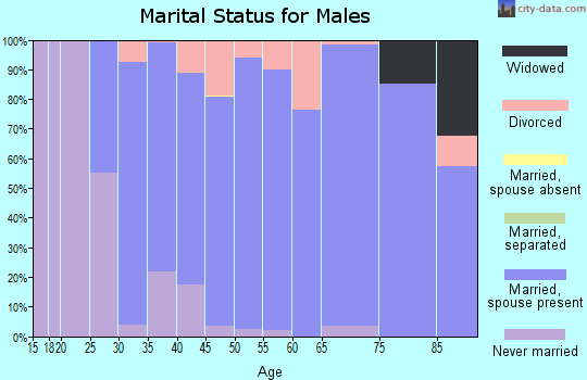 Zip code 35223 marital status for males