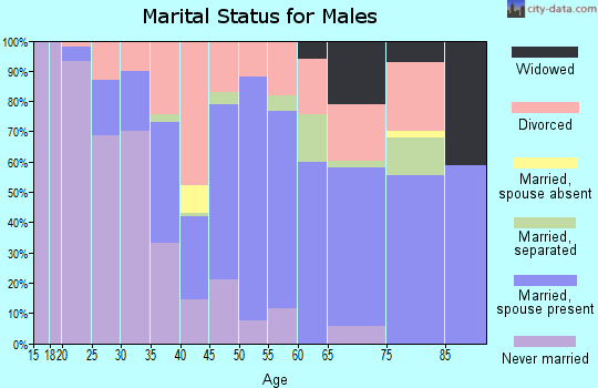 Zip code 35228 marital status for males