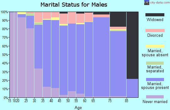 Zip code 35242 marital status for males