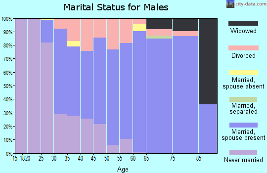Zip code 35243 marital status for males