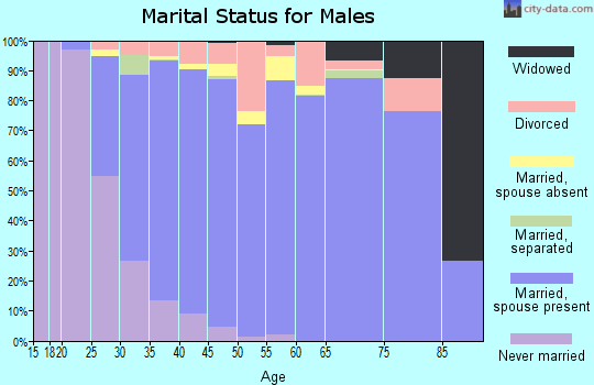 Zip code 35244 marital status for males