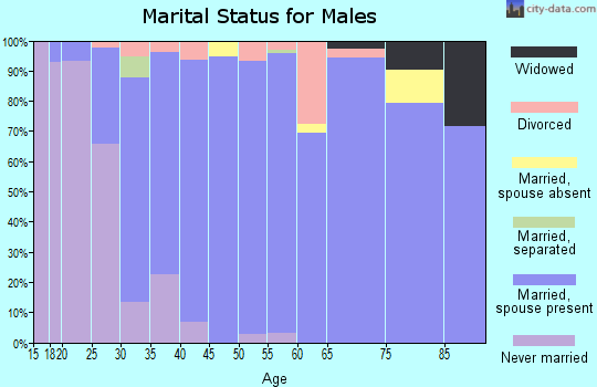 Zip code 35406 marital status for males