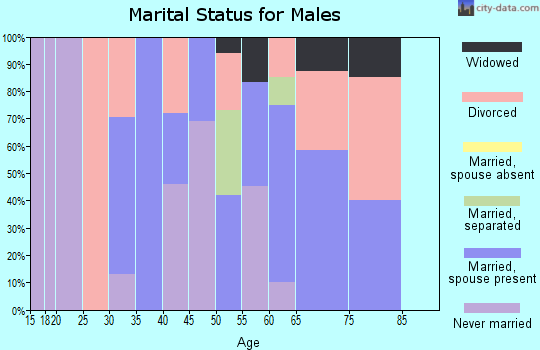 Zip code 35441 marital status for males