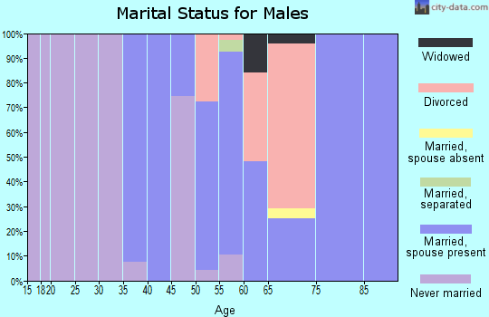 Zip code 35443 marital status for males