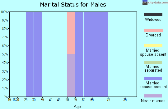 Zip code 35458 marital status for males