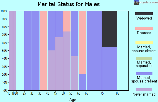 Zip code 35460 marital status for males