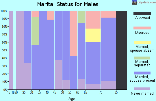 Zip code 35461 marital status for males