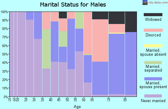 Zip code 35462 marital status for males