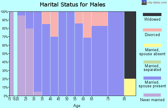 Zip code 35463 marital status for males