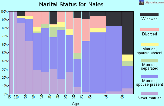 Zip code 35501 marital status for males