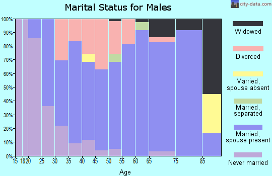 Zip code 35504 marital status for males