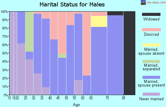 Zip code 35540 marital status for males