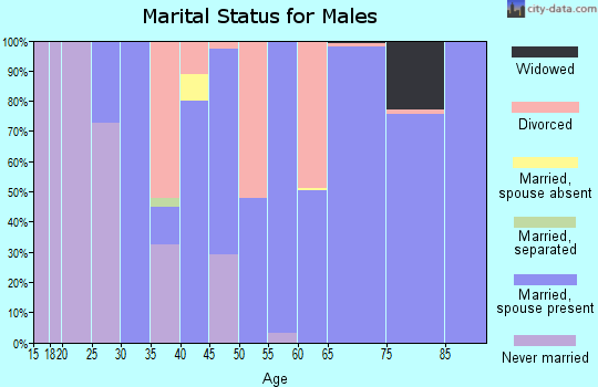 Zip code 35541 marital status for males