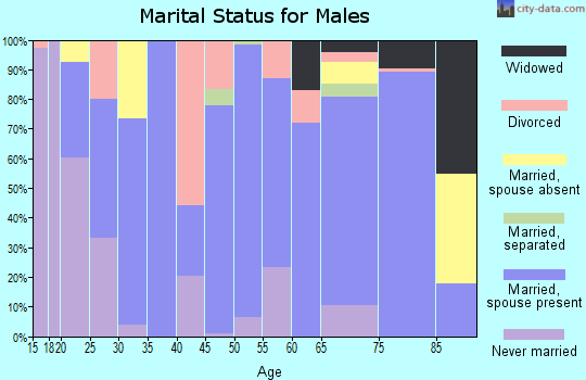 Zip code 35563 marital status for males