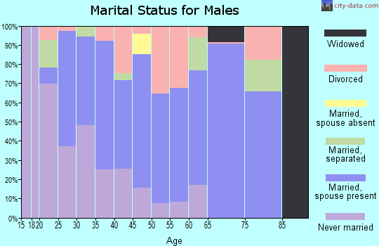 Zip code 35578 marital status for males