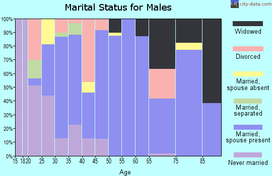 Zip code 35592 marital status for males