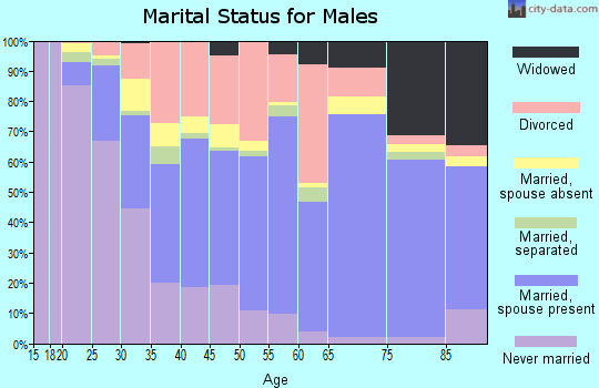 Zip code 35601 marital status for males