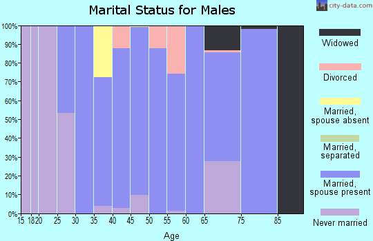 Zip code 35610 marital status for males
