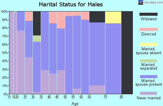 Zip code 35619 marital status for males