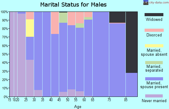 Zip code 35634 marital status for males