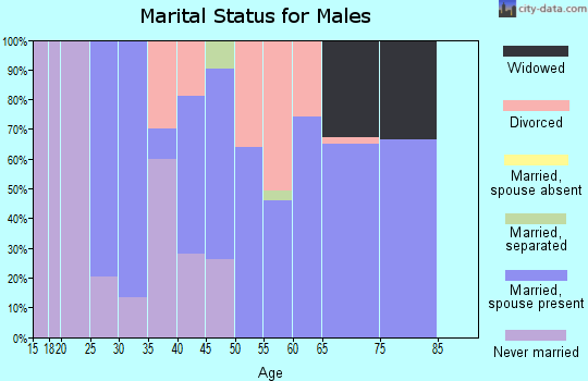 Zip code 35643 marital status for males