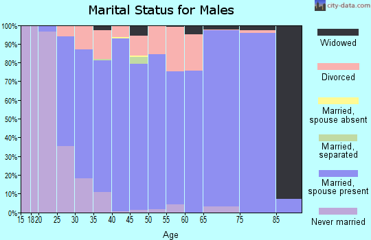Zip code 35645 marital status for males