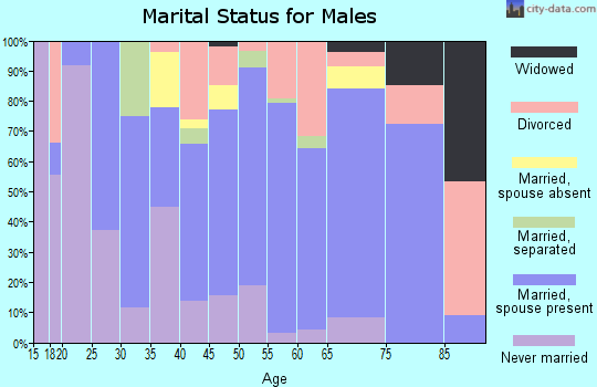 Zip code 35646 marital status for males