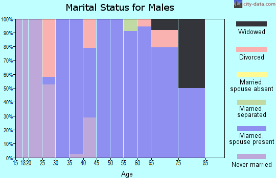 Zip code 35647 marital status for males