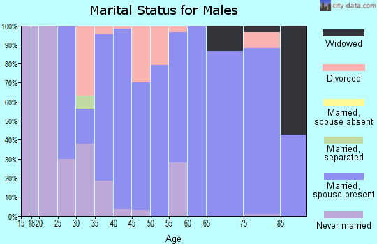 Zip code 35648 marital status for males