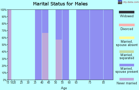 Zip code 35649 marital status for males