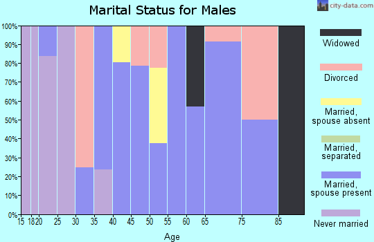 Zip code 35651 marital status for males