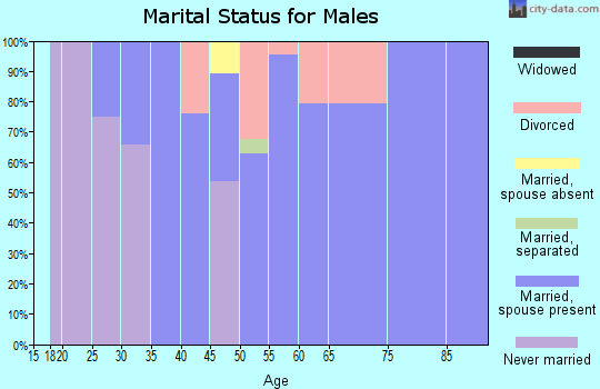 Zip code 35741 marital status for males