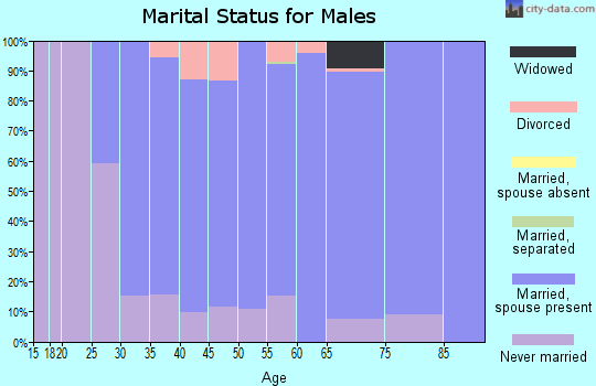 Zip code 35756 marital status for males