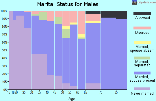 Zip code 35806 marital status for males