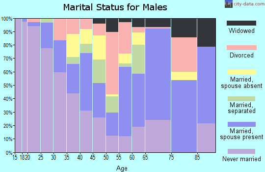 Zip code 35816 marital status for males