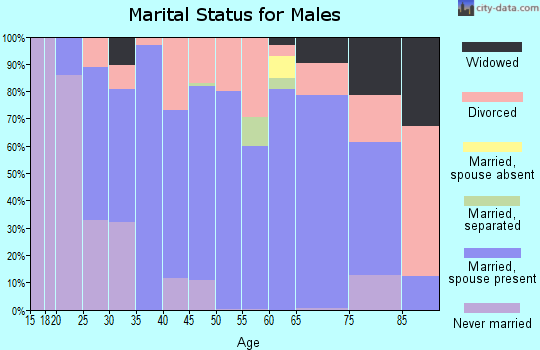 Zip code 35906 marital status for males