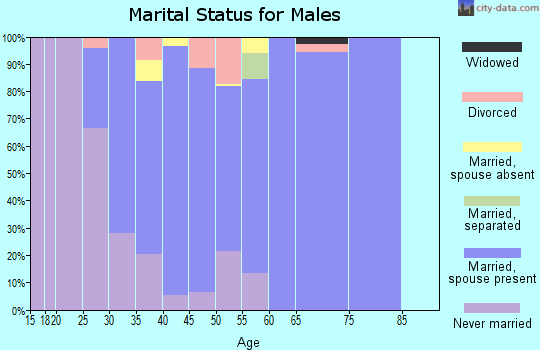 Zip code 35907 marital status for males
