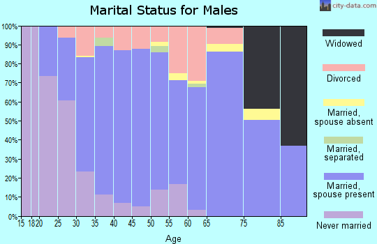 Zip code 35951 marital status for males