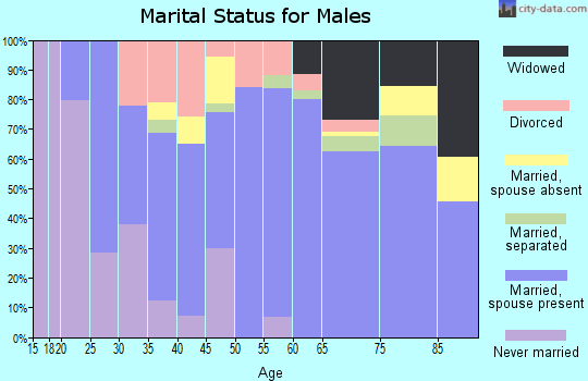 Zip code 35953 marital status for males
