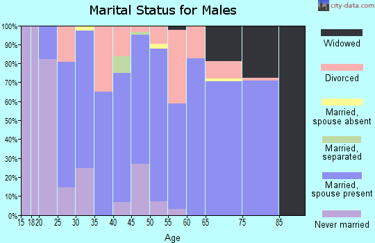 Zip code 35959 marital status for males