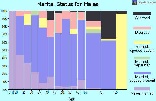 Zip code 35960 marital status for males