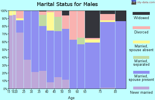 Zip code 35962 marital status for males