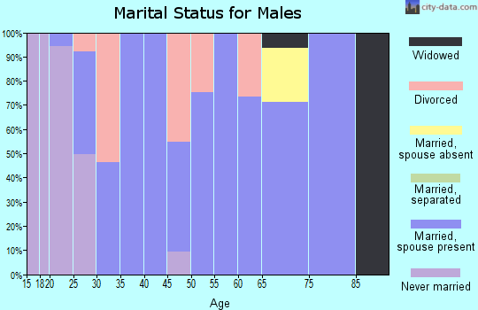 Zip code 35966 marital status for males
