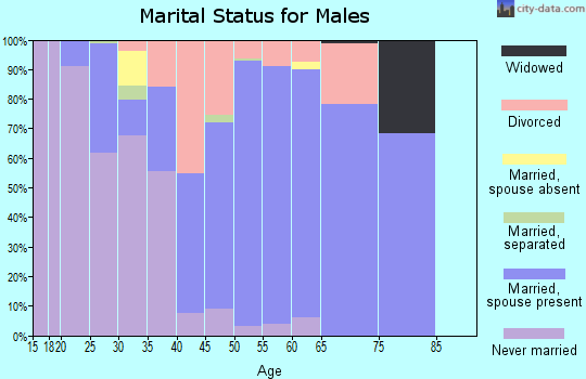 Zip code 35968 marital status for males